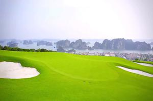 Hệ thống sân golf FLC và những điều có thể bạn chưa biết 